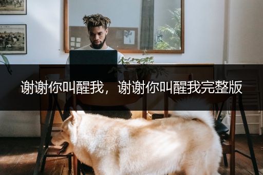 谢谢你叫醒我，谢谢你叫醒我完整版
